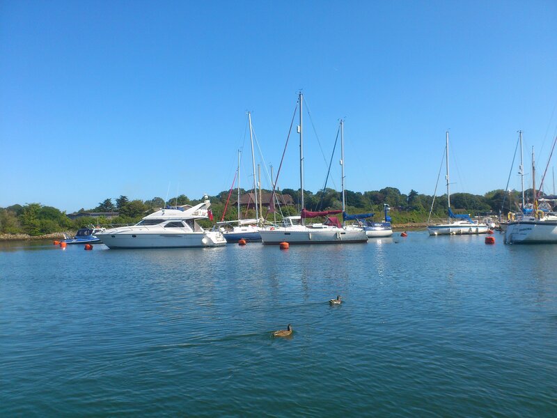 Boats in a Harbor — Blue, Serene, Afternoon, Photograph, Ducks