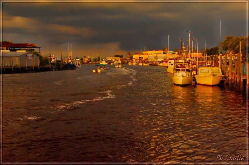 Boats in a Harbor — Brown