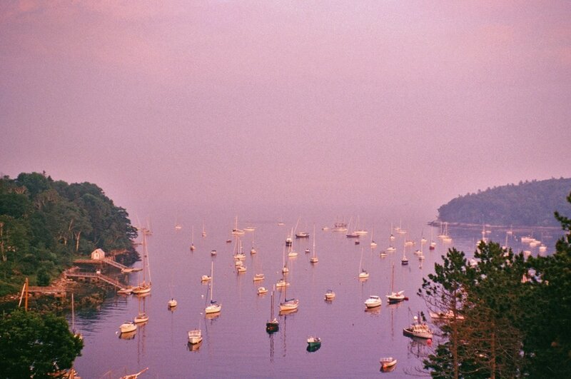 Boats in a Harbor — Purple, Serene