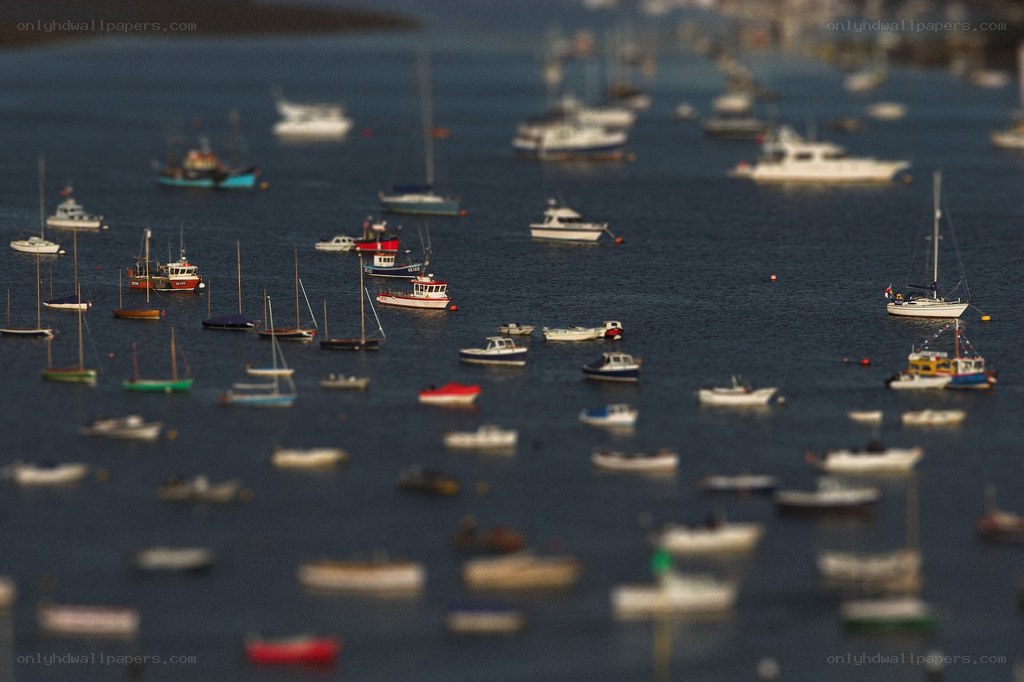 Boats in a harbor