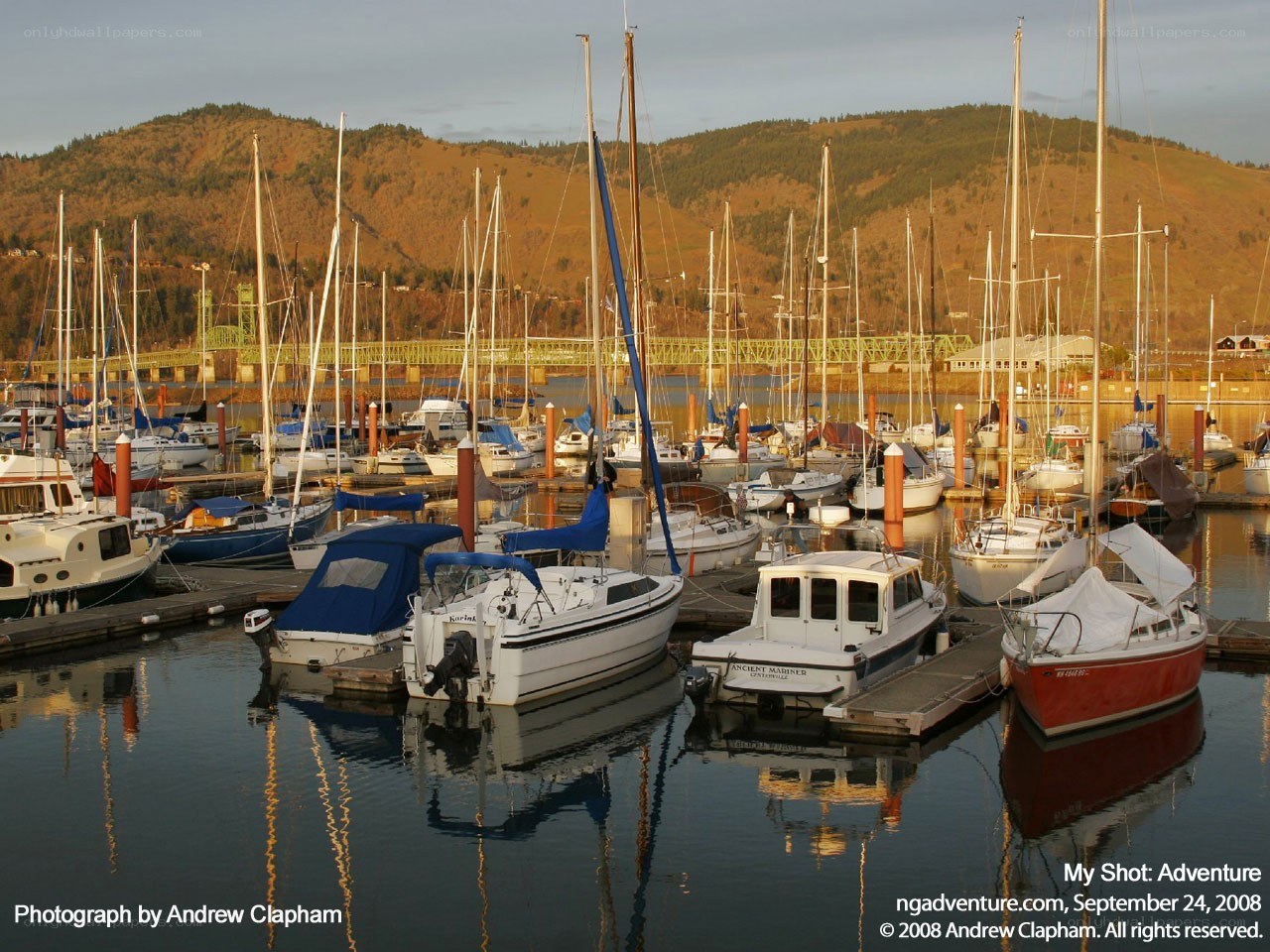 Boats in a marina at sunset