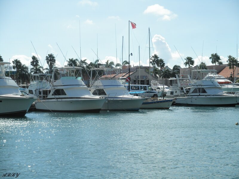 Boats in a Marina — Blue, Calm, Afternoon, Photograph