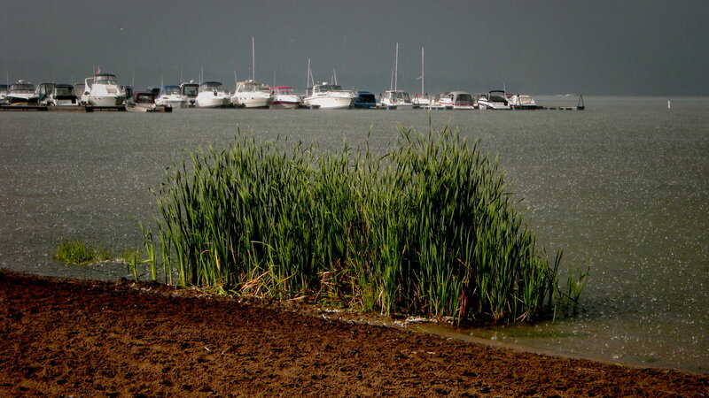 Boats in a Marina — Green