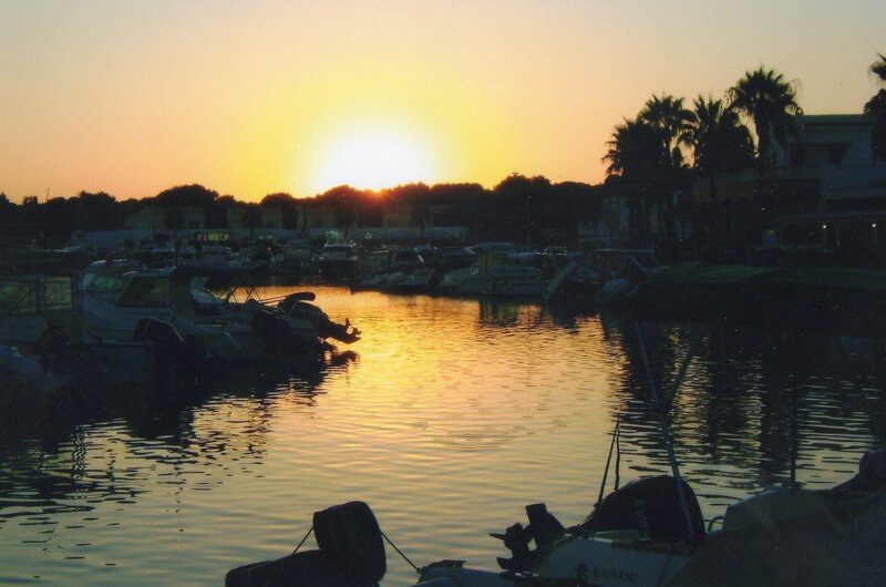Boats in a Marina — Yellow