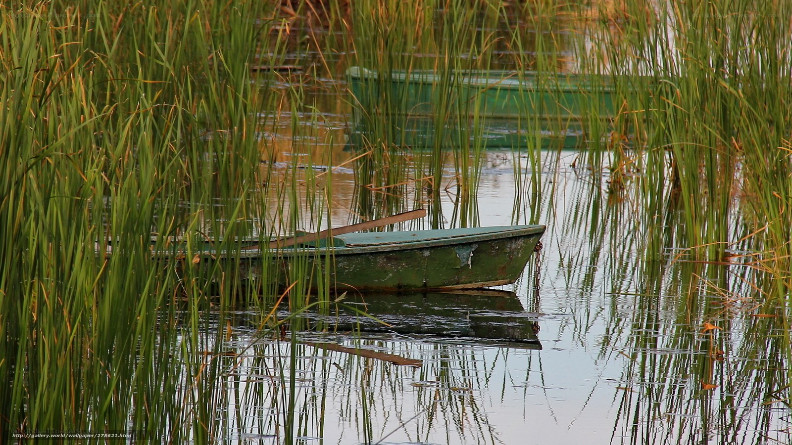 Boats in reeds at dusk