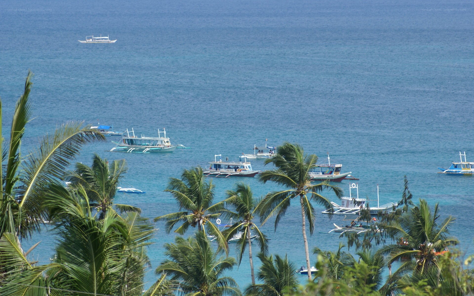 Boats in tropical bay