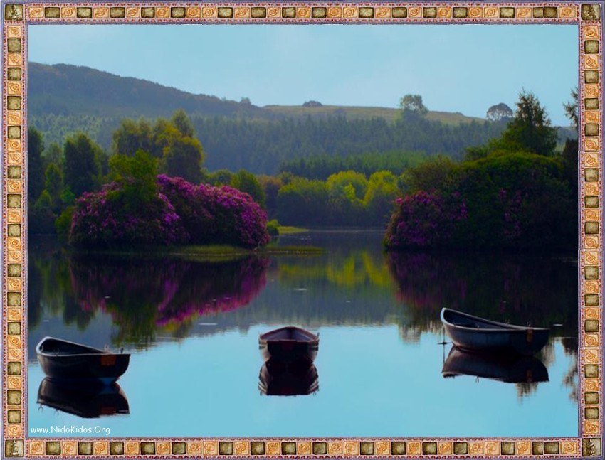 Boats on a calm lake