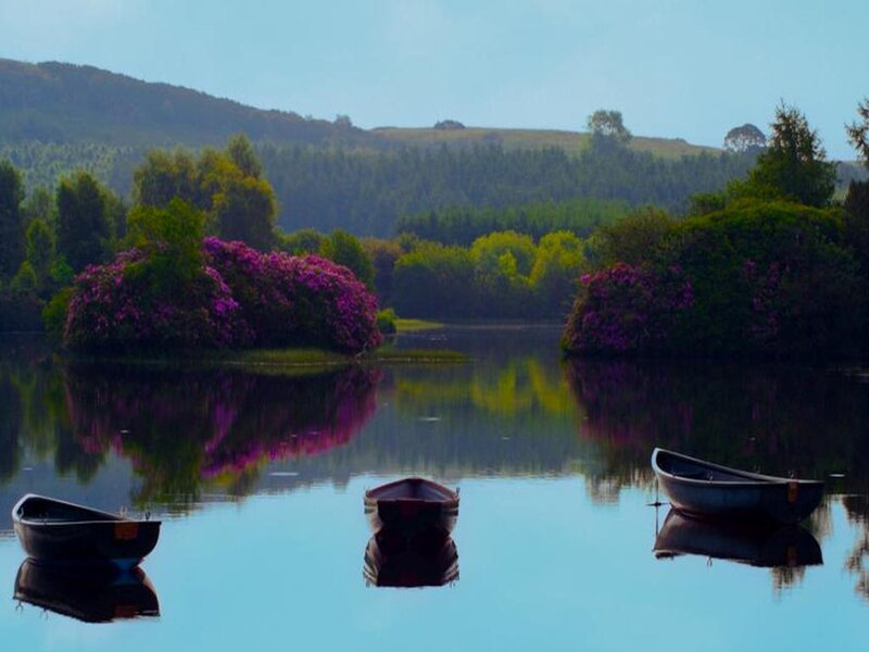 Boats on a calm lake