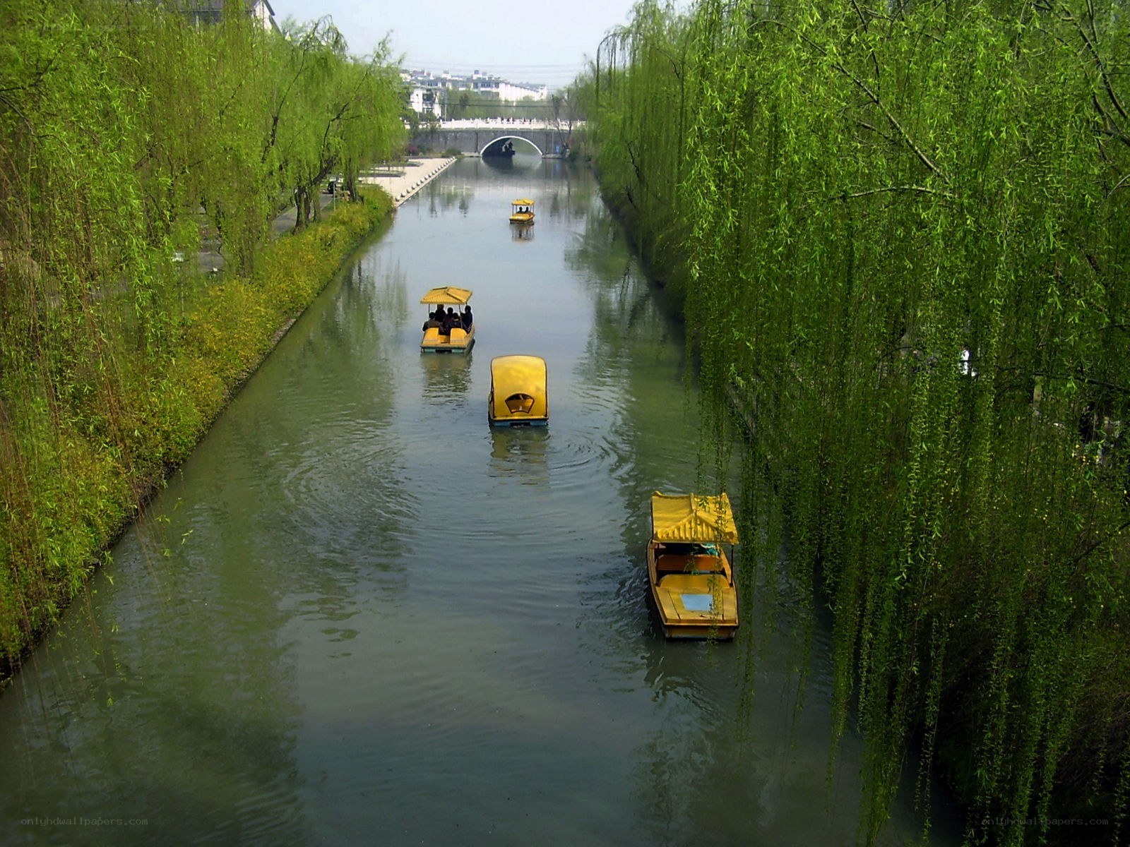 Boats on a canal with willow trees