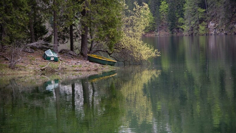 Boats on a forest lake shore