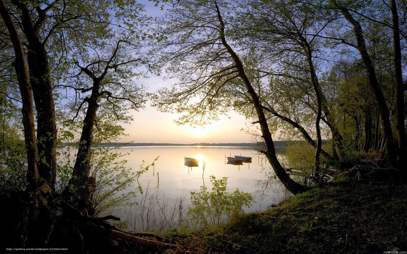 Boats on a Lake at Sunset — Blue, Serene, Photograph, Trees