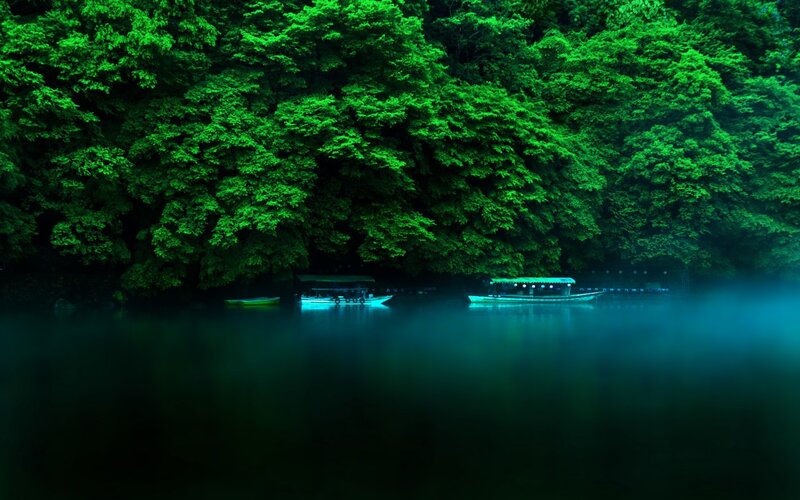 Boats on a Lake — Green, Serene, Night