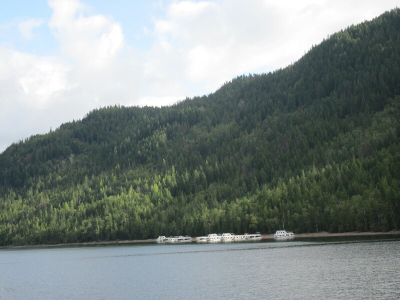 Boats on a Lake — Green, Serene