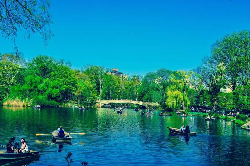 Boats on a lake in Central Park