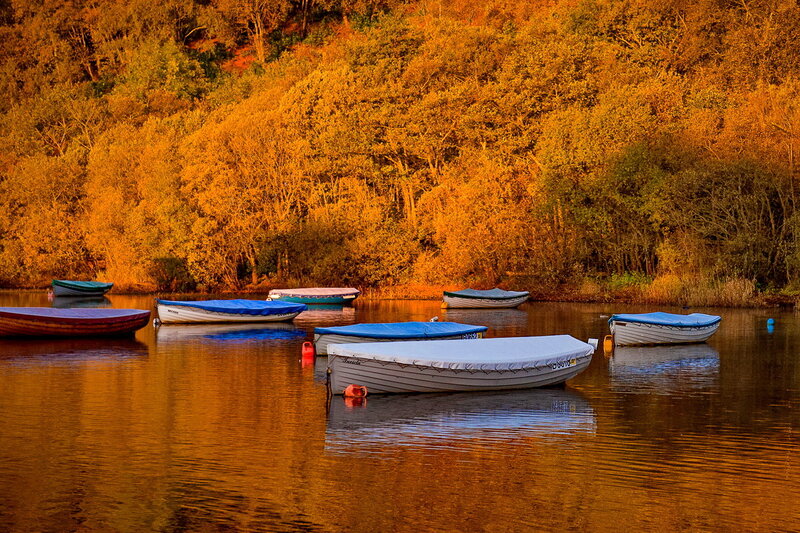 Boats on a Lake — Orange, Serene