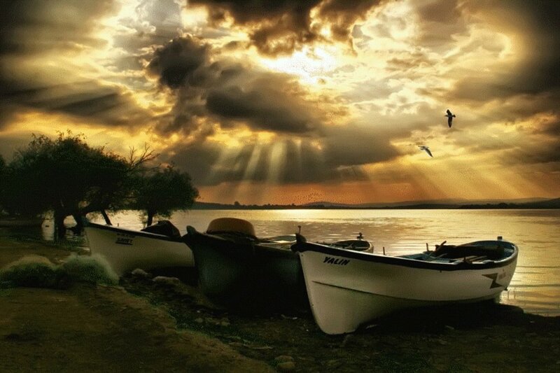 Boats on a Lake Shore