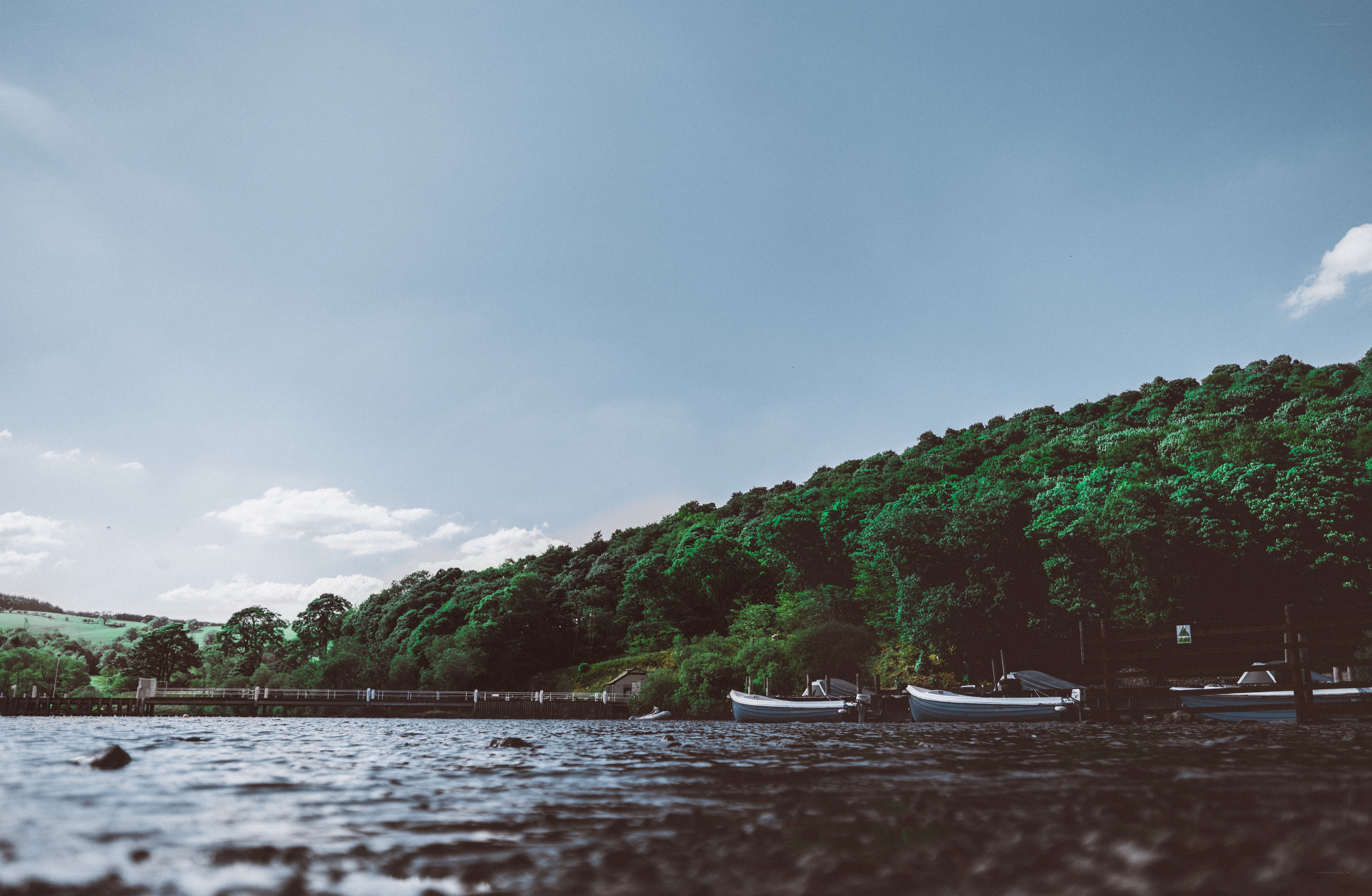 Boats on a lake with forest