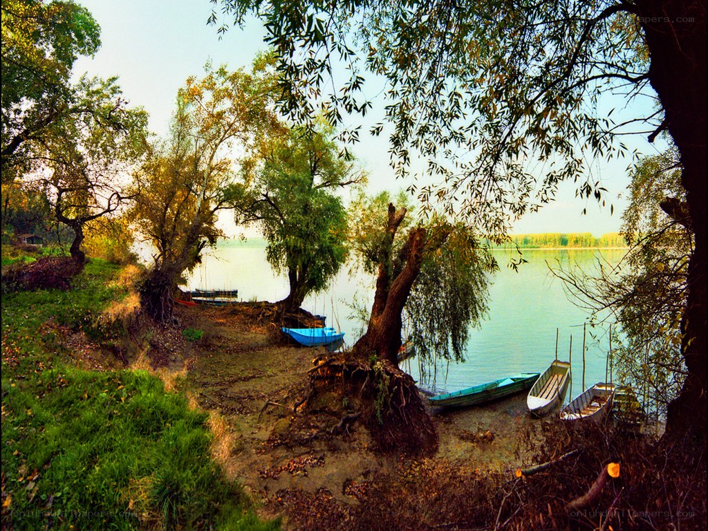Boats on a lakeside shore
