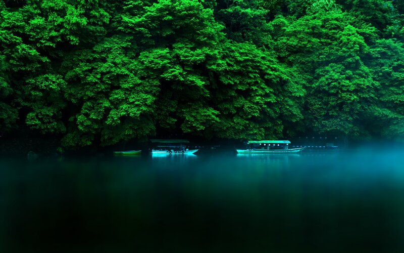 Boats on a misty lake