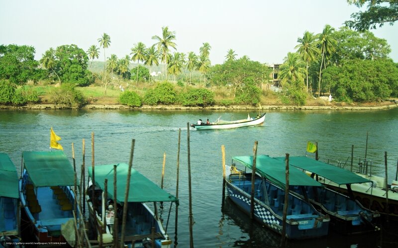 Boats on a River — Green, Serene, Afternoon