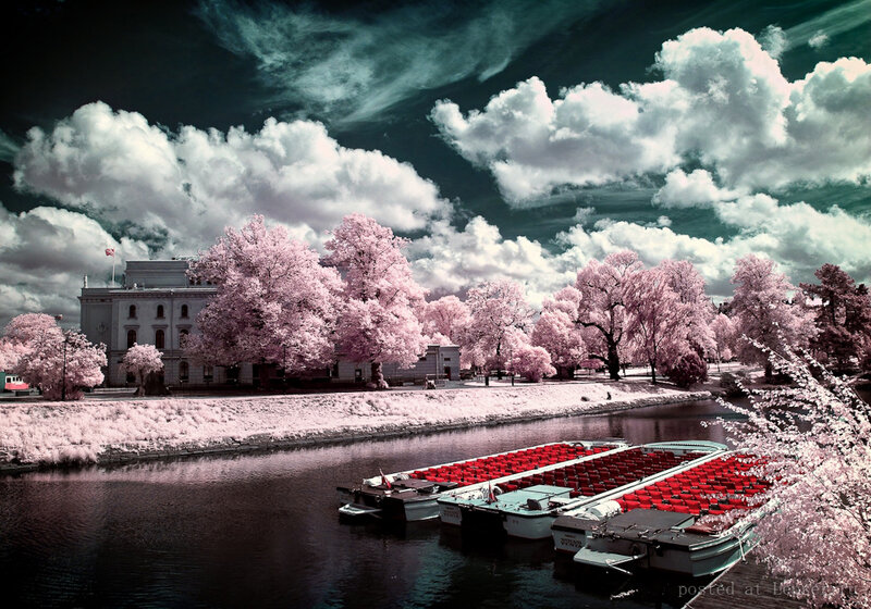 Boats on a River — Pink