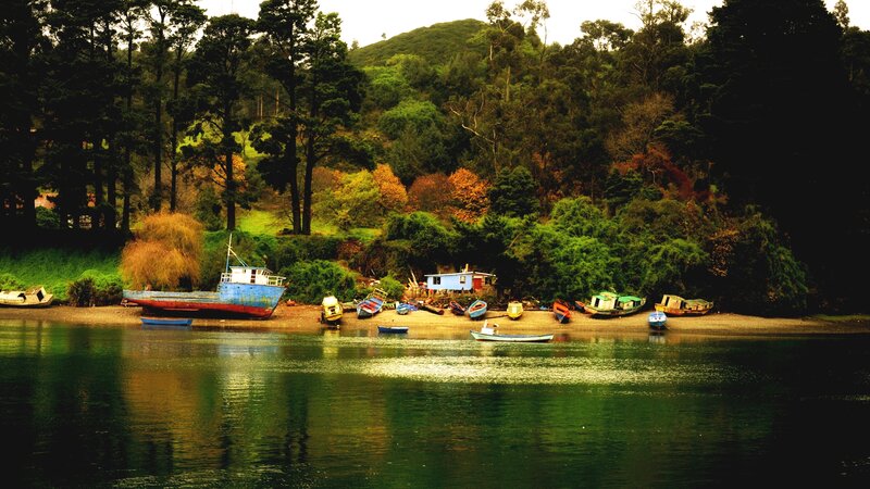 Boats on a Riverbank — Green