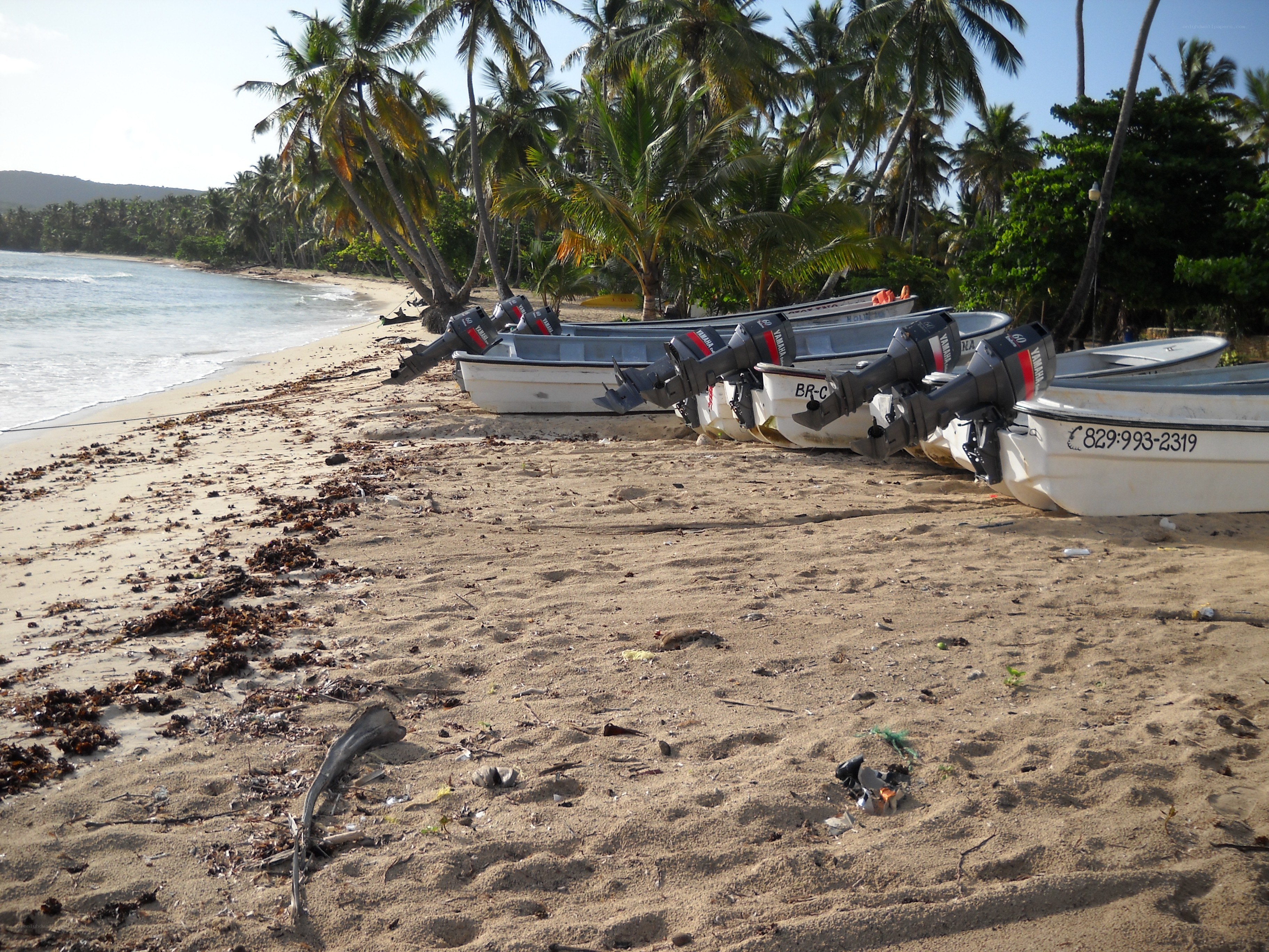 Boats on a tropical beach