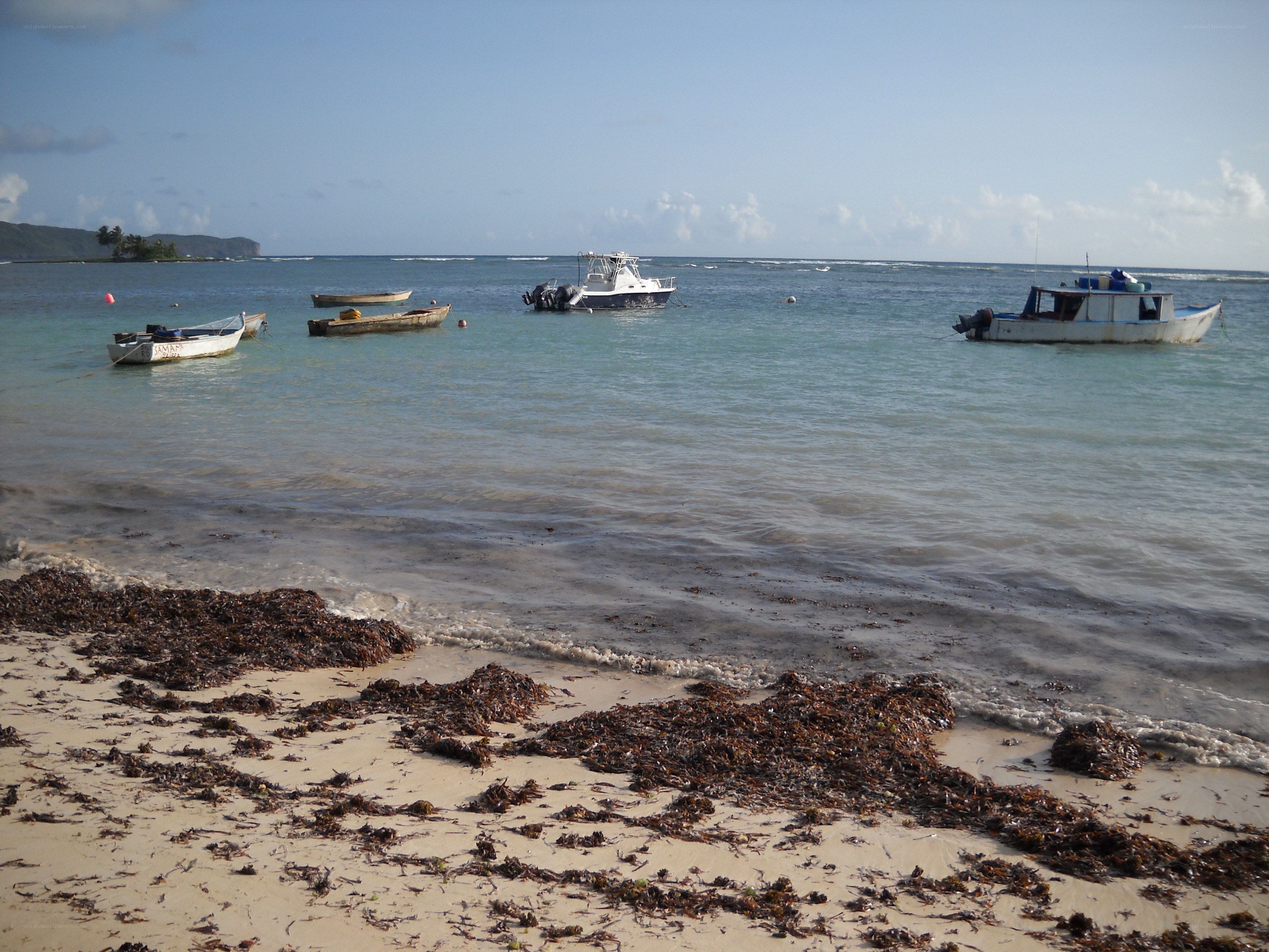 Boats on a tropical beach