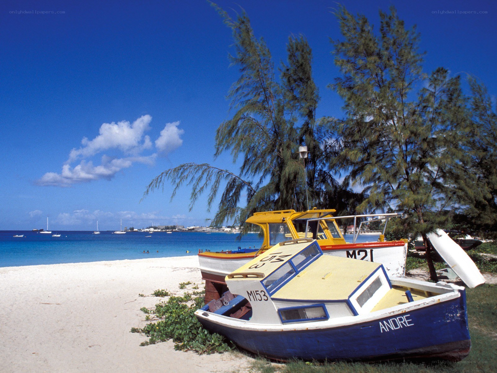 Boats on a tropical beach