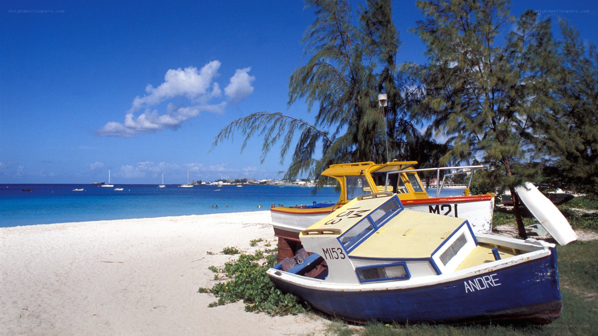 Boats on a tropical beach