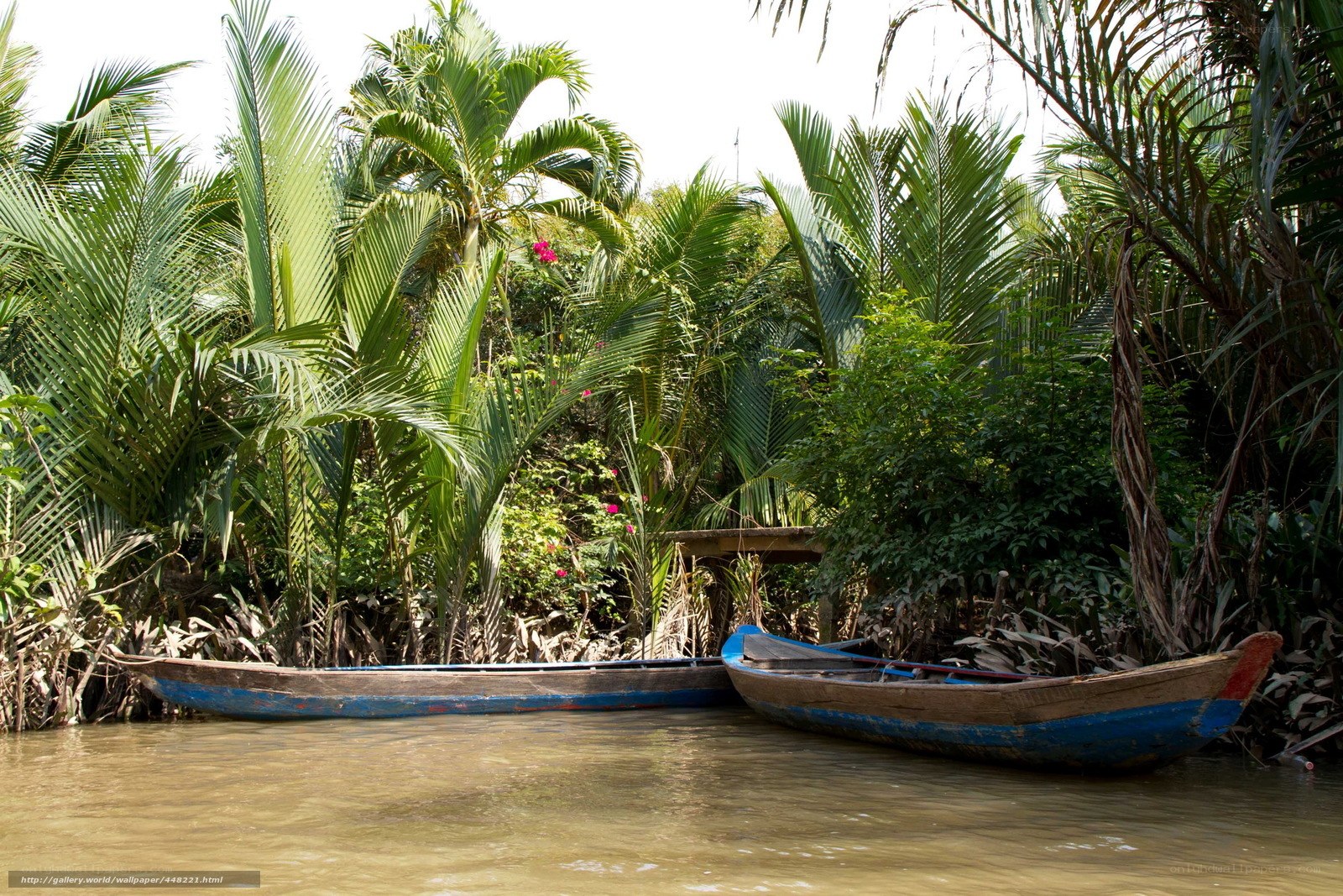 Boats on a tropical river