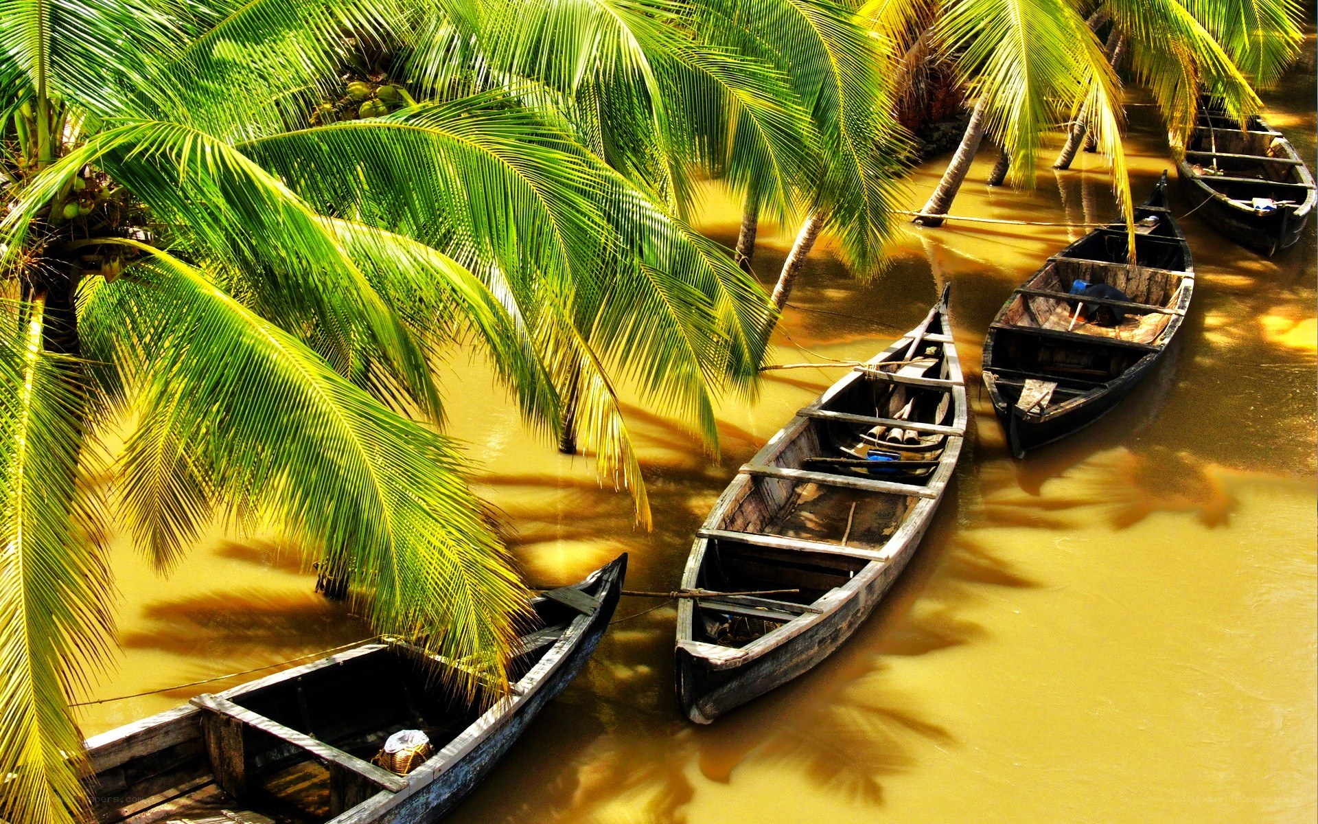 Boats on a tropical river