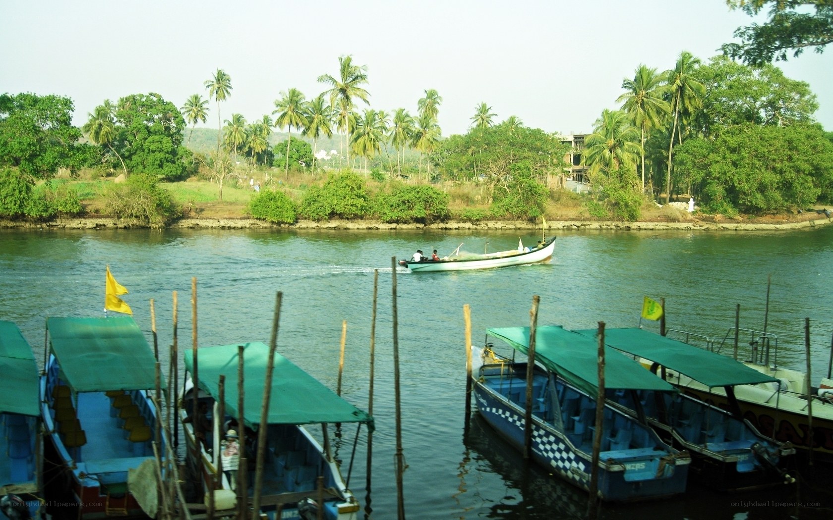 Boats on a tropical river