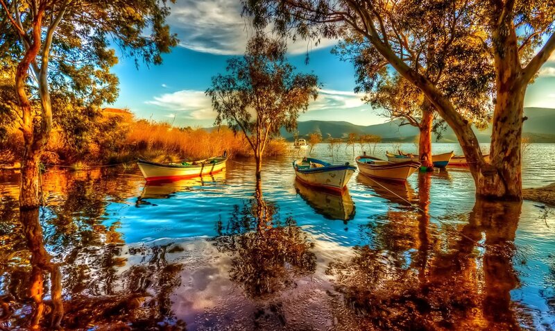 Boats on Calm Water — Blue, Serene, Sunset, Photograph, Trees