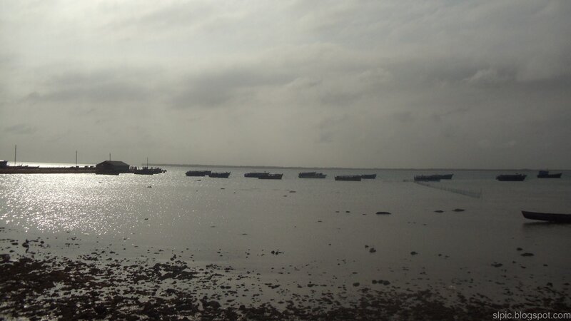 Boats on Calm Water — Gray, Morning