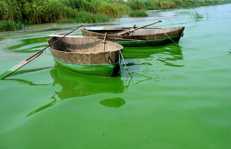 Boats on green water