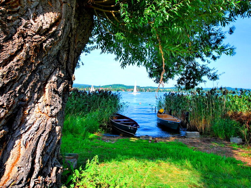Boats on Lake Shore — Green