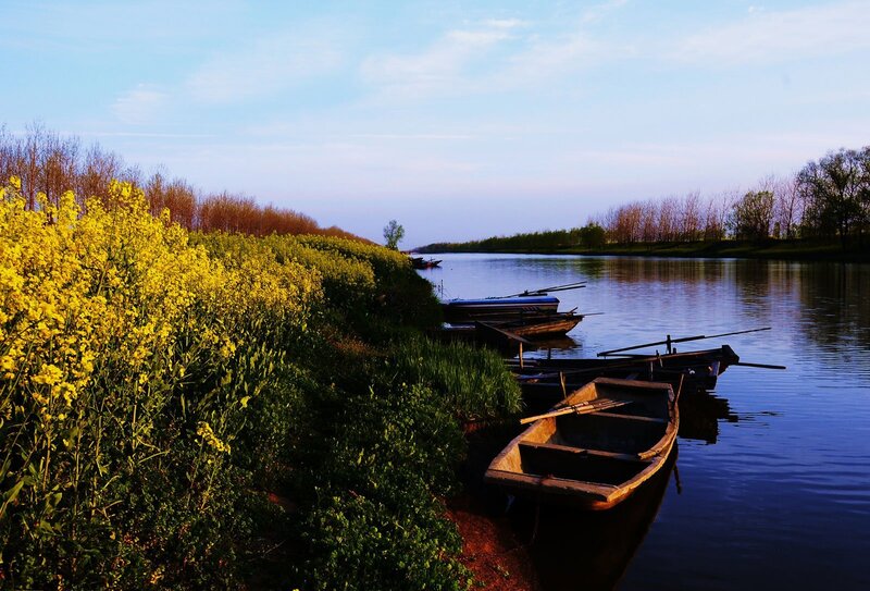 Boats on Riverbank