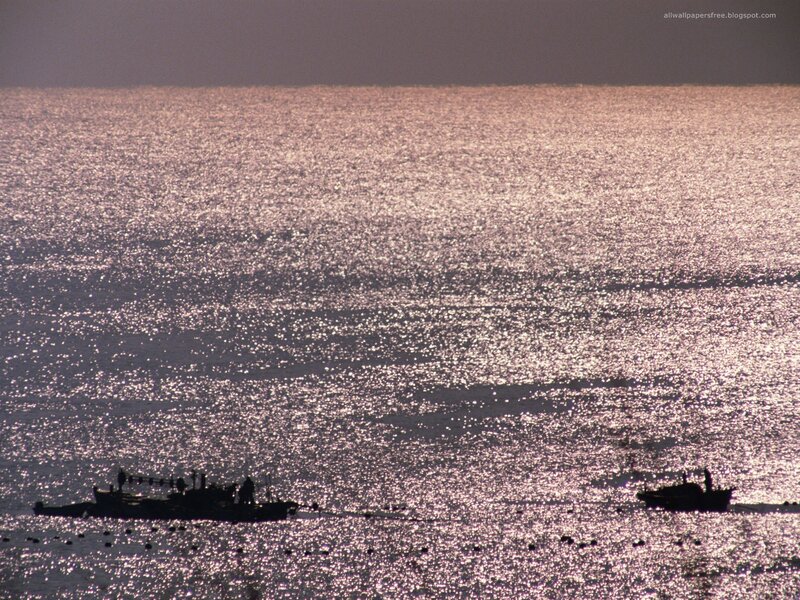 Boats on shimmering water