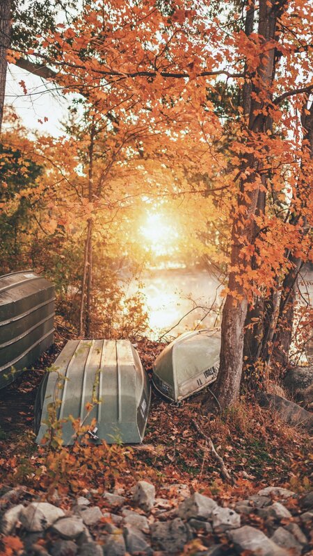 Boats under Autumn Trees