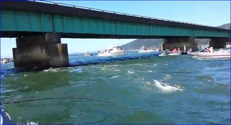 Boats under Bridge