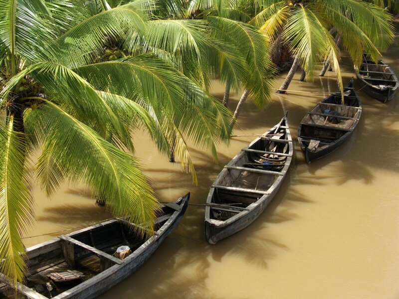 Boats under palm trees