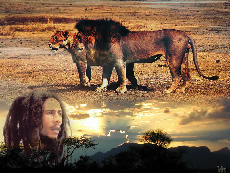 Bob Marley and lions at sunset
