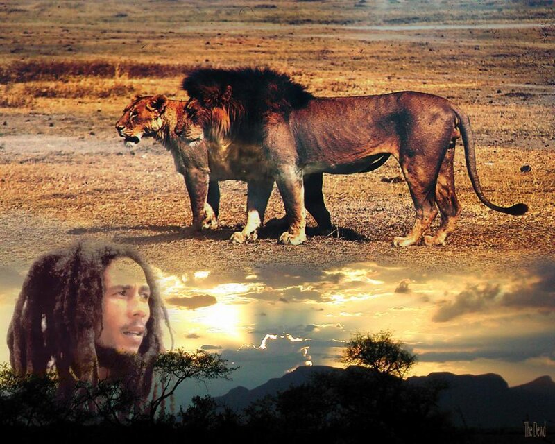 Bob Marley and lions in savanna