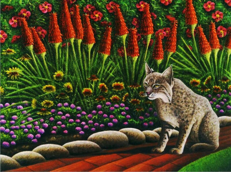 Bobcat in Garden