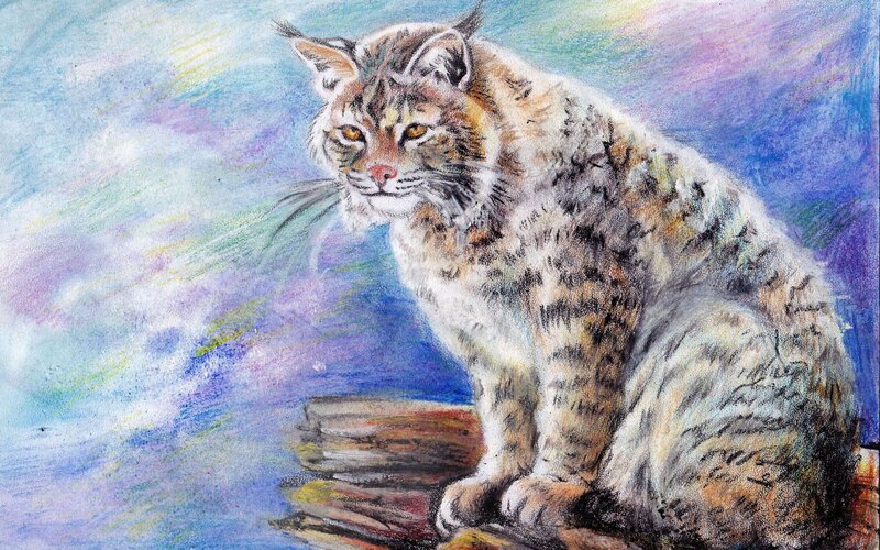 Bobcat on a Log — Blue