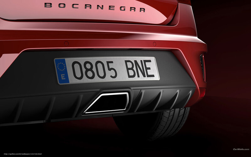 Bocanegra car rear view