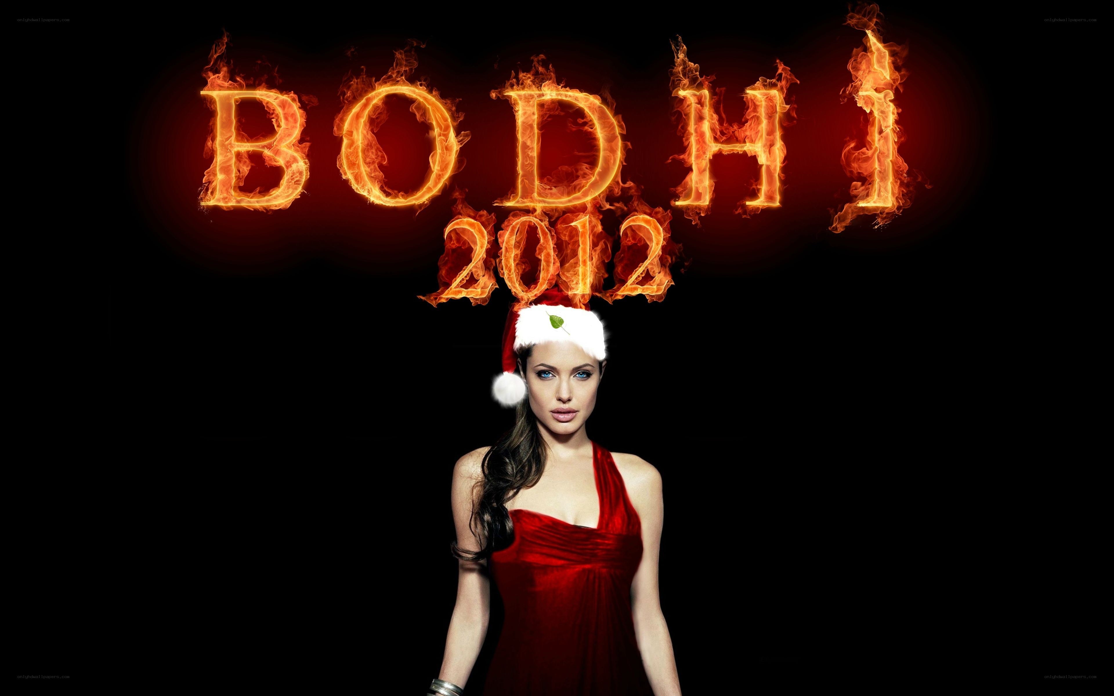 Bodhi 2012 with Santa hat