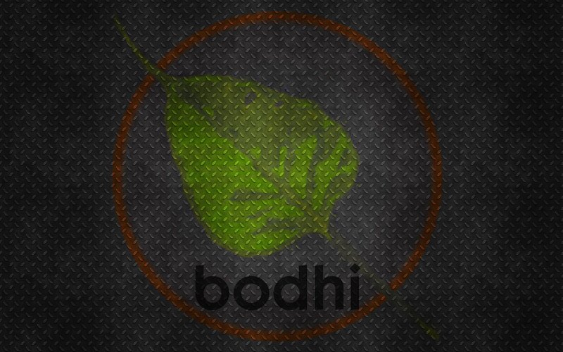Bodhi leaf logo on metal