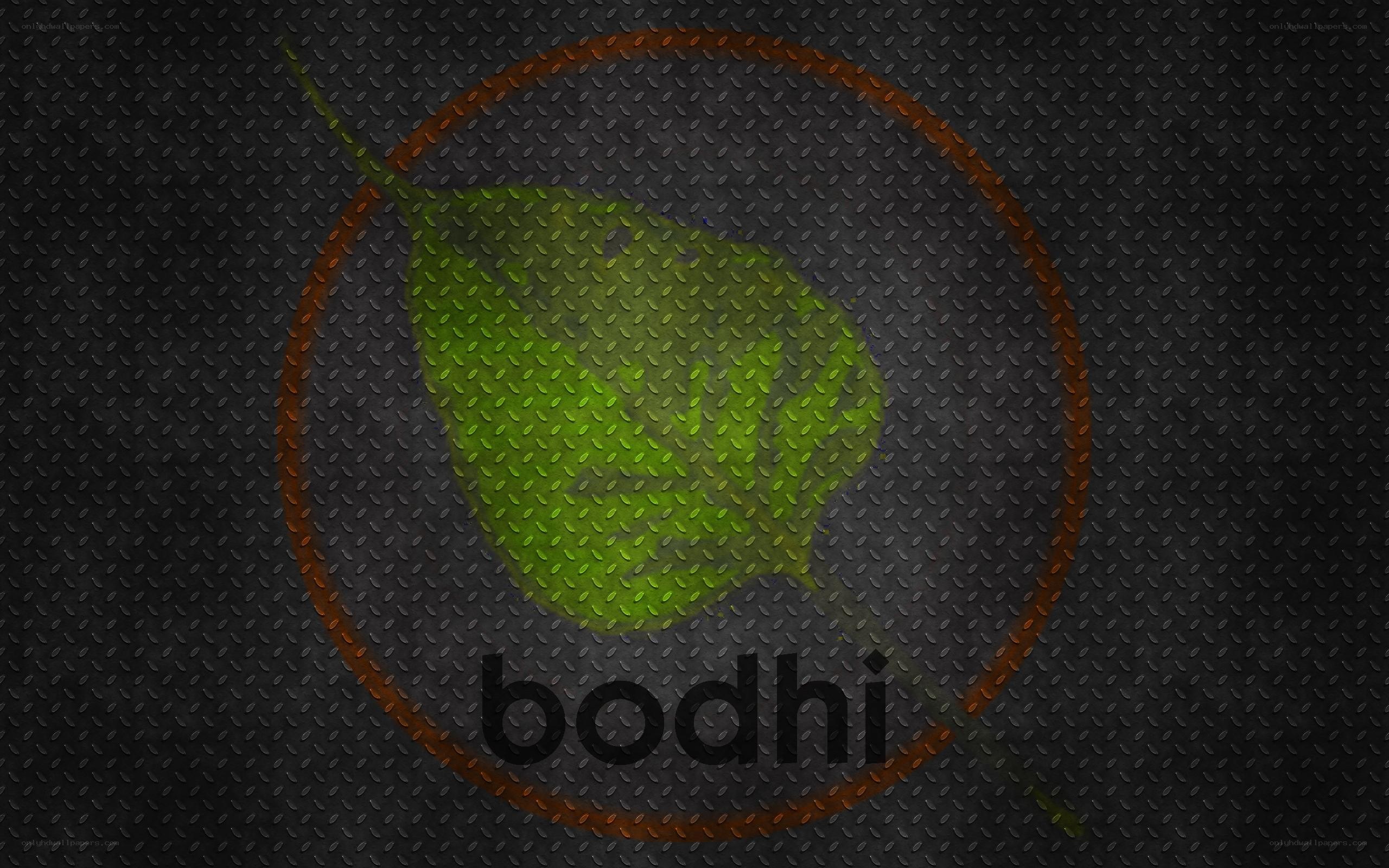 Bodhi leaf logo on metal